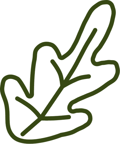 Decorative top element